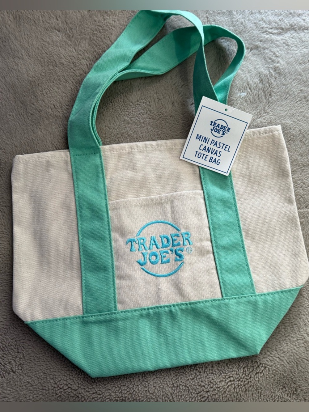 Mini Pastel Canvas Tote Bag – Mint Accent